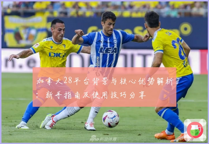 加拿大28平台背景与核心优势解析：新手指南及使用技巧分享