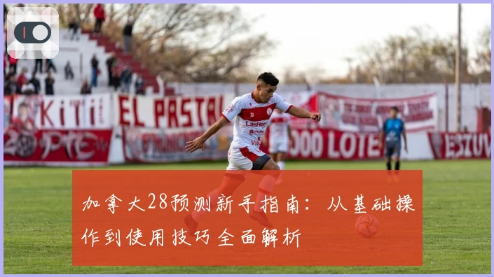 加拿大28预测新手指南：从基础操作到使用技巧全面解析