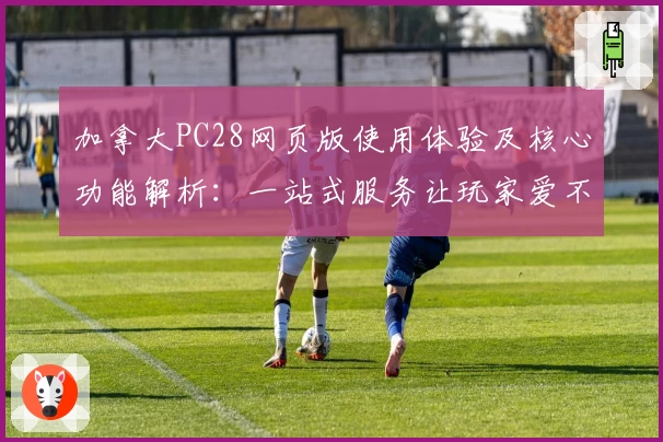 加拿大PC28网页版使用体验及核心功能解析：一站式服务让玩家爱不释手