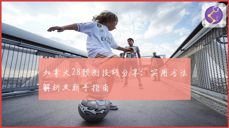 加拿大28预测技巧分享：实用方法解析及新手指南