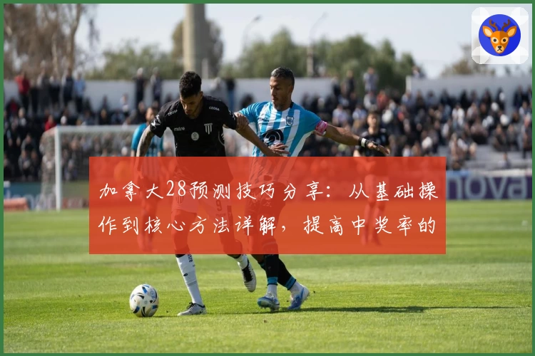 加拿大28预测技巧分享：从基础操作到核心方法详解，提高中奖率的实用攻略