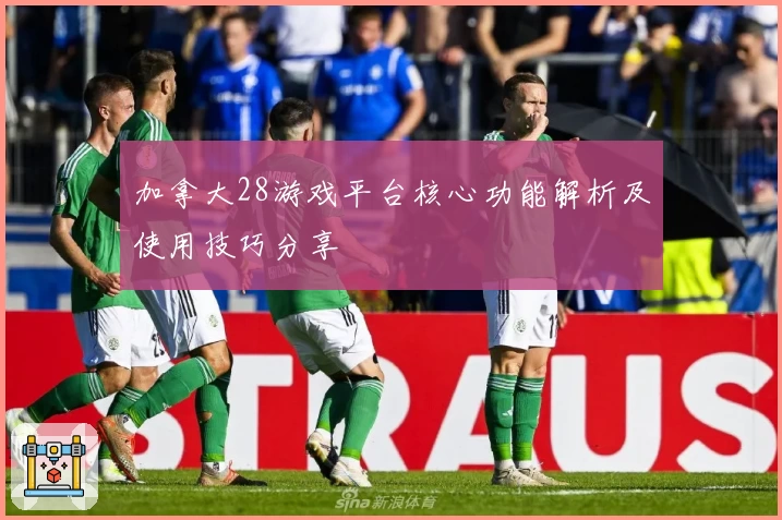 加拿大28游戏平台核心功能解析及使用技巧分享