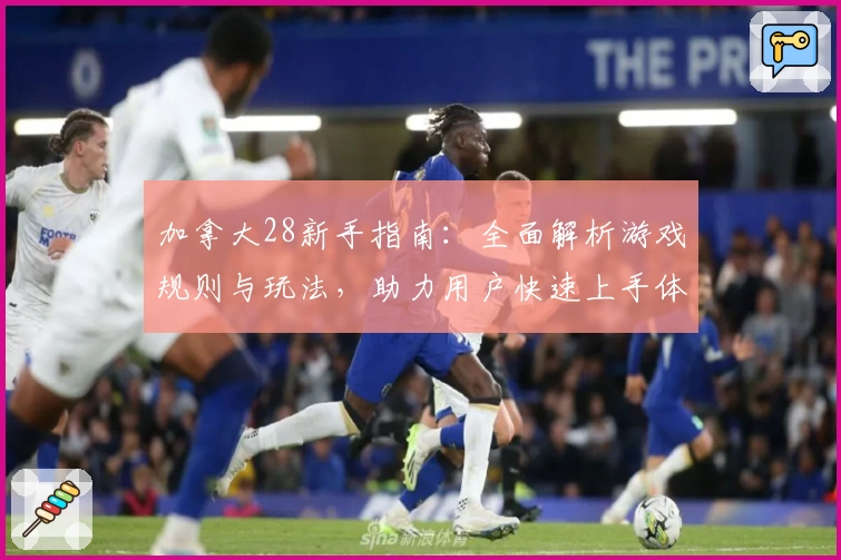 加拿大28新手指南：全面解析游戏规则与玩法，助力用户快速上手体验稳定高效平台