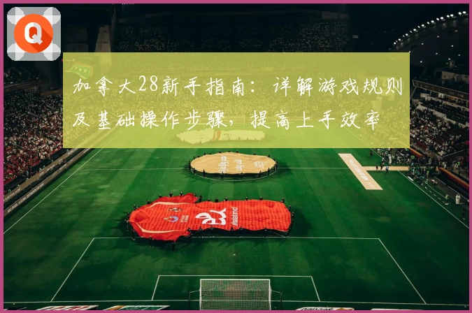 加拿大28新手指南：详解游戏规则及基础操作步骤，提高上手效率