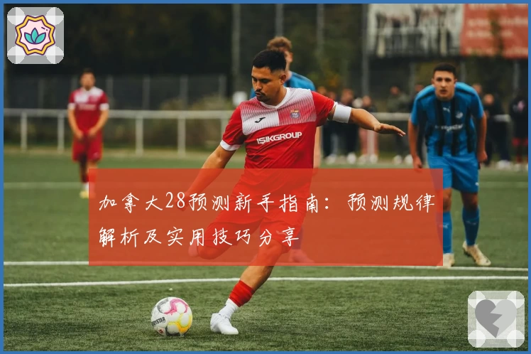 加拿大28预测新手指南：预测规律解析及实用技巧分享