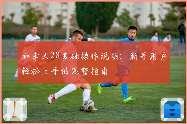 加拿大28基础操作说明：新手用户轻松上手的完整指南