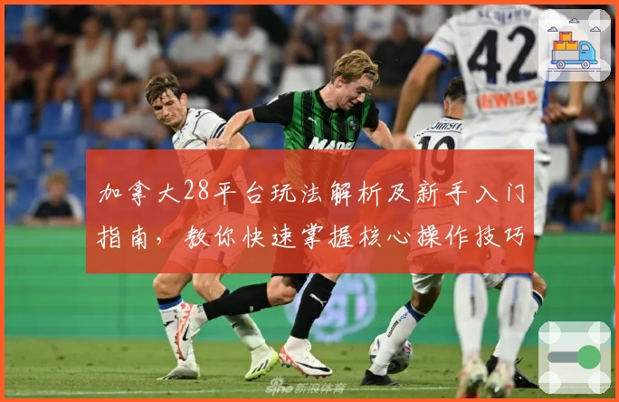 加拿大28平台玩法解析及新手入门指南，教你快速掌握核心操作技巧