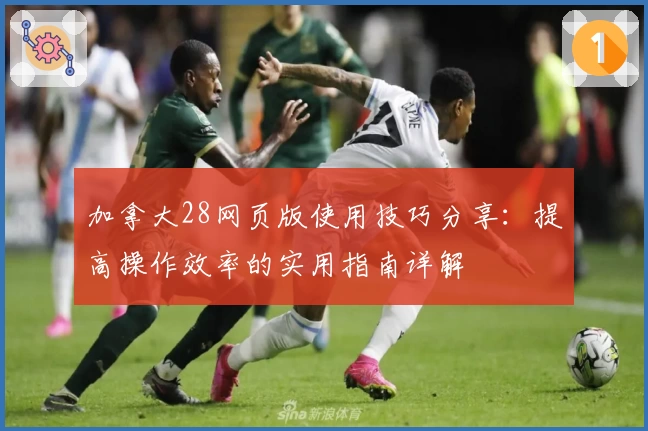 加拿大28网页版使用技巧分享：提高操作效率的实用指南详解