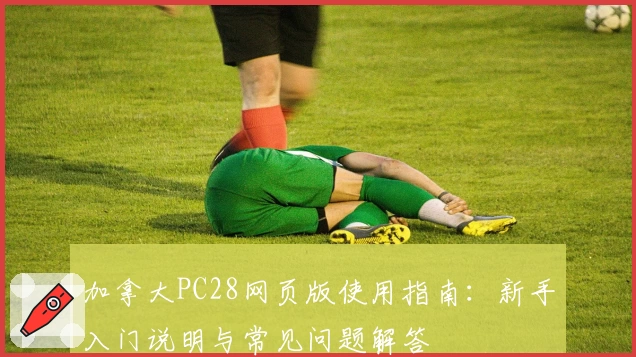加拿大PC28网页版使用指南：新手入门说明与常见问题解答