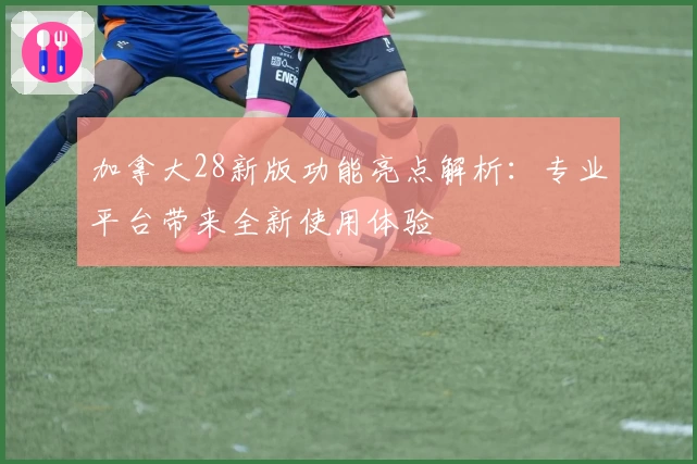 加拿大28新版功能亮点解析：专业平台带来全新使用体验