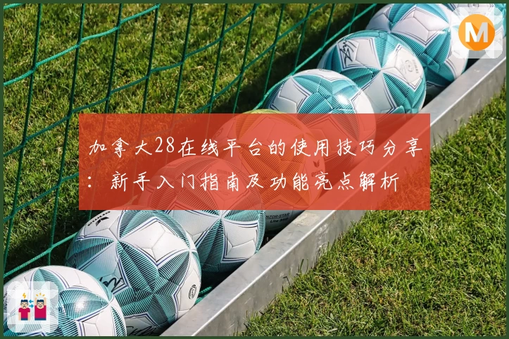 加拿大28在线平台的使用技巧分享：新手入门指南及功能亮点解析