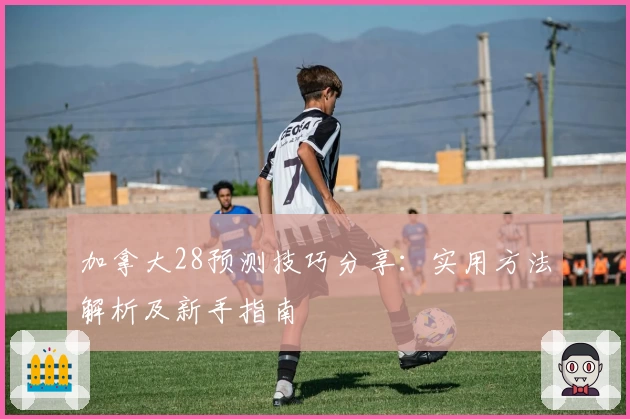 加拿大28预测技巧分享：实用方法解析及新手指南