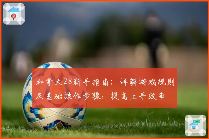 加拿大28新手指南：详解游戏规则及基础操作步骤，提高上手效率