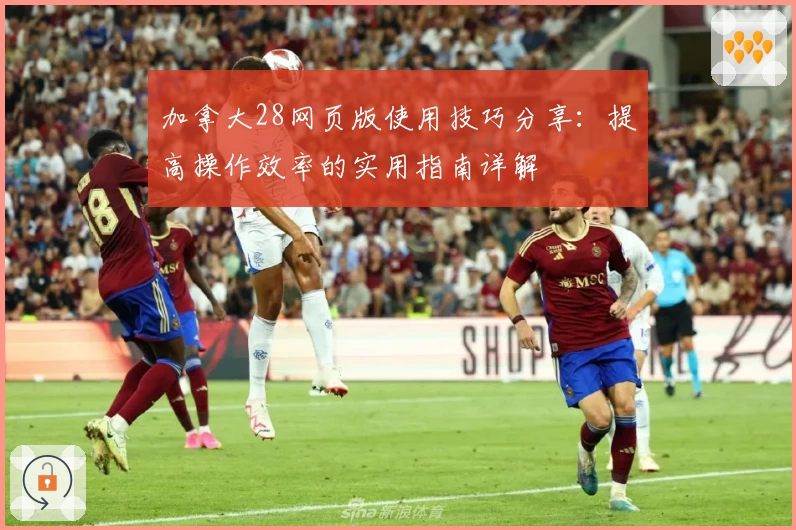 加拿大28网页版使用技巧分享：提高操作效率的实用指南详解